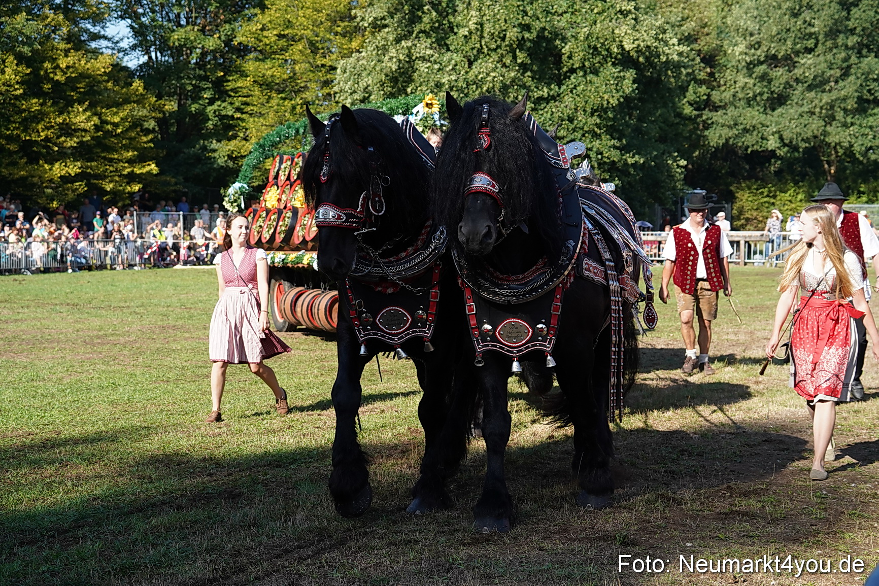 Pferde und Fohlenschau 2022 0047 